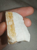 Natural White & Honey Calcite Banded Rough Mineral Specimen 99g