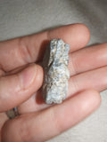Blue Apatite in Matrix Rough Natural Mineral Specimen 19g