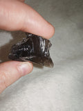 Natural Brown Smoky Obsidian Raw Volcanic Glass Mineral Specimen 6g