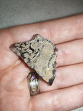 Natural Brown Smoky Obsidian Raw Volcanic Glass Mineral Specimen 6g