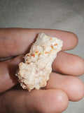 Vanadinite Orange Red Crystals on Matrix Natural Mineral Specimen 9g