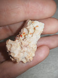 Vanadinite Orange Red Crystals on Matrix Natural Mineral Specimen 9g