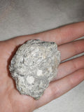 Blue Celestite Celestine Crystal Cluster Natural Mineral Specimen 83g