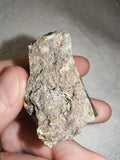 Green Opal Chrysoprase Chalcedony Rough Mineral in Matrix 43g