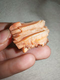 Peach Barite Baryte Bladed Crystal Cluster Natural Mineral Specimen 35g