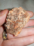 Peach Barite Baryte Bladed Crystal Cluster Natural Mineral Specimen 35g