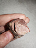 Raw Red Jasper Natural Mineral Specimen Deep Red Chalcedony 29g