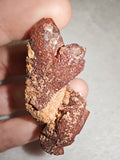 Natural Red Hematoid Quartz Crystal Cluster Iron Stained Mineral Specimen 21g