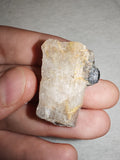 Natural Tourmalinated Quartz with Black Tourmaline Schorl Raw Specimen 8g
