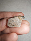 Natural Tourmalinated Quartz with Black Tourmaline Schorl Raw Specimen 8g