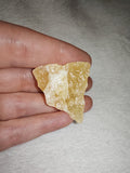 Natural Honey Calcite Raw Yellow Crystal Mineral Specimen 12g