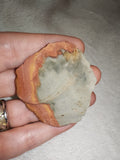 Natural Polychrome Jasper Raw Multicoloured Mineral Specimen 26g