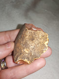 Natural Polychrome Jasper Raw Multicoloured Mineral Specimen 26g