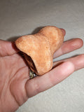 Moroccan Sand Stromatolite Pseudo-Stromatolite Desert Concretion 103g #3
