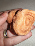 Moroccan Sand Stromatolite Pseudo-Stromatolite Desert Concretion 103g #3