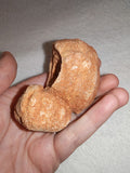 Moroccan Sand Stromatolite Pseudo-Stromatolite Desert Concretion 159g #4
