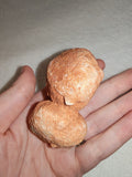 Moroccan Sand Stromatolite Pseudo-Stromatolite Desert Concretion 159g #4