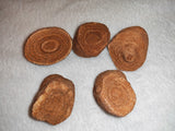 Moroccan Sand Stromatolite Pseudo-Stromatolite Desert Concretion 50-65g