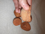 Moroccan Sand Stromatolite Pseudo-Stromatolite Desert Concretion 50-65g