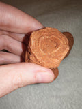Moroccan Sand Stromatolite Pseudo-Stromatolite Desert Concretion 50-65g