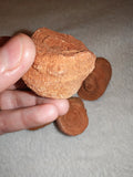 Moroccan Sand Stromatolite Pseudo-Stromatolite Desert Concretion 50-65g