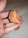 Moroccan Sand Stromatolite Pseudo-Stromatolite Desert Concretion 50-65g