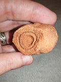 Moroccan Sand Stromatolite Pseudo-Stromatolite Desert Concretion 50-65g