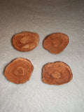 Moroccan Sand Stromatolite Pseudo-Stromatolite Desert Concretion 30-40g