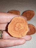 Moroccan Sand Stromatolite Pseudo-Stromatolite Desert Concretion 30-40g