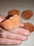 Moroccan Sand Stromatolite Pseudo-Stromatolite Desert Concretion 30-40g