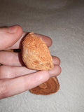 Moroccan Sand Stromatolite Pseudo-Stromatolite Desert Concretion 30-40g