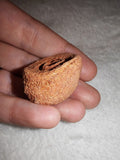 Moroccan Sand Stromatolite Pseudo-Stromatolite Desert Concretion 20g