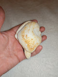 Moroccan Menalite Fairy Stone Goddess Stone Natural Concretion 210g #1