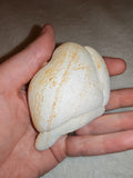 Moroccan Menalite Fairy Stone Goddess Stone Natural Concretion 210g #1