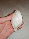 Moroccan Menalite Fairy Stone Goddess Stone Natural Concretion 210g #1