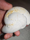 Moroccan Menalite Fairy Stone Goddess Stone Natural Concretion 214g #2