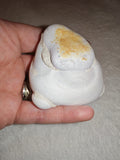 Moroccan Menalite Fairy Stone Goddess Stone Natural Concretion 166g #5