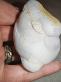 Moroccan Menalite Fairy Stone Goddess Stone Natural Concretion 166g #5