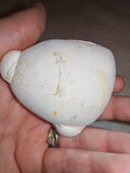 Moroccan Menalite Fairy Stone Goddess Stone Natural Concretion 166g #5