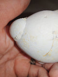 Moroccan Menalite Fairy Stone Goddess Stone Natural Concretion 166g #5