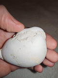 Moroccan Menalite Fairy Stone Goddess Stone Natural Concretion 166g #5