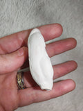 Menalite Fairy Stone Concretion 38g Natural Moroccan Specimen #6