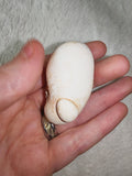 Menilite Menalite Fairy Stone Nodular Opal Concretion 30g #9