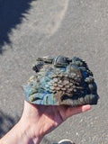 Natural Labradorite Hand Carved Landscape 1.6kg Statement Piece
