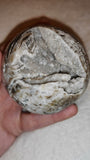 Natural Sphalerite with Druzy Quartz Sphere 315g Crystal Geode