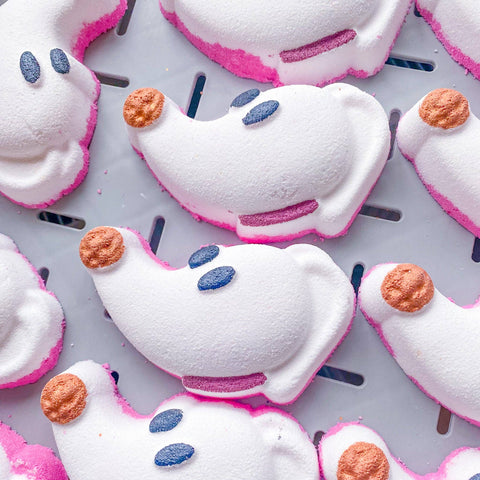 Pumpkin Dog Bath Bomb