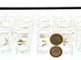 Genuine Fossil Shark Tooth Otodus | Moroccan Fossil in Magnifying Display Box