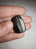 3g Natural Jet Stone Specimen Raw Organic Fossil Wood Gemstone Piece