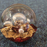 Vintage Selkirk Glass Triton Paperweight Scotland 1988 Signed 849g #17