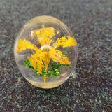 Handcrafted Yellow Dandelion Flower Art Glass Paperweight with Controlled Bubbles #52